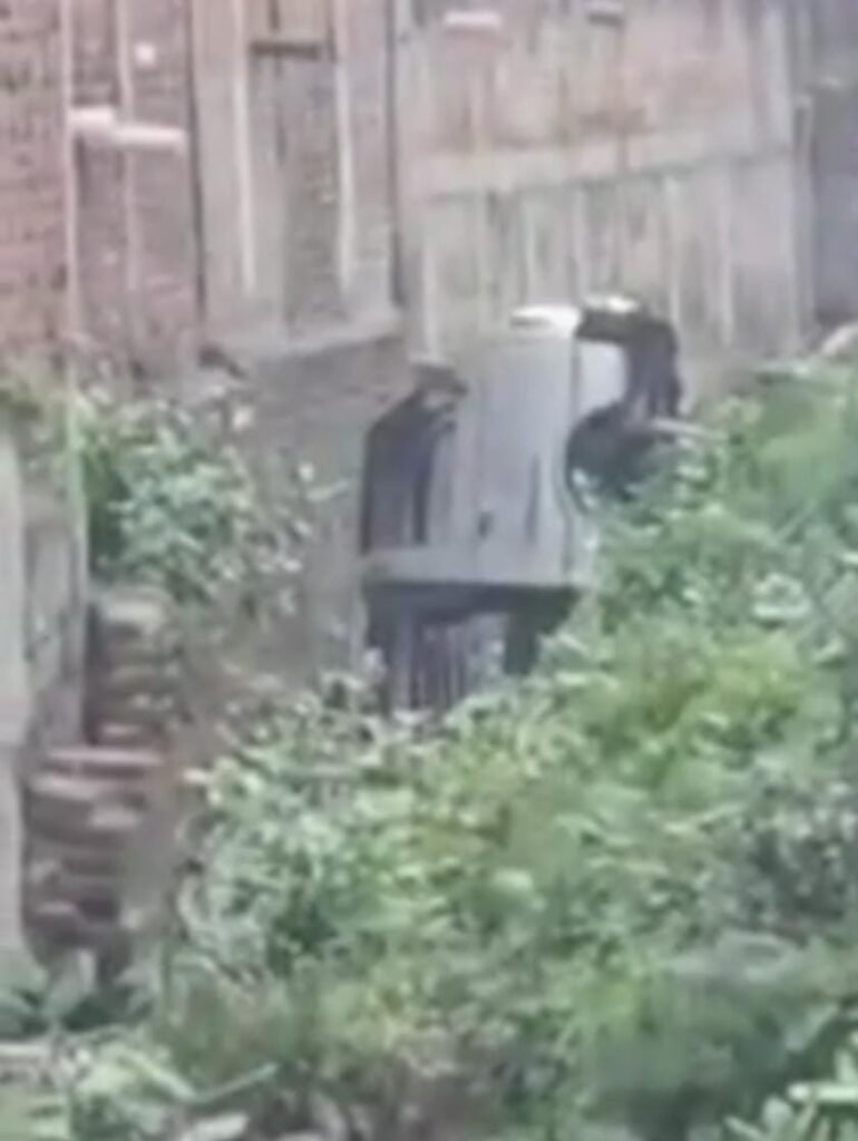 ये “स्कूल वैन हादसा” नहीं, प्रशासनिक की लापरवाही की पोल खुली है