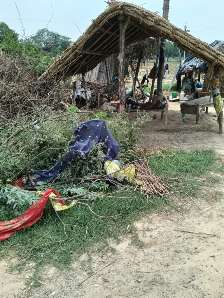 सार्वजनिक चक मार्ग को अतिक्रमण मुक्त करने की मांग, उप जिलाधिकारी को दिया शिकायती पत्र