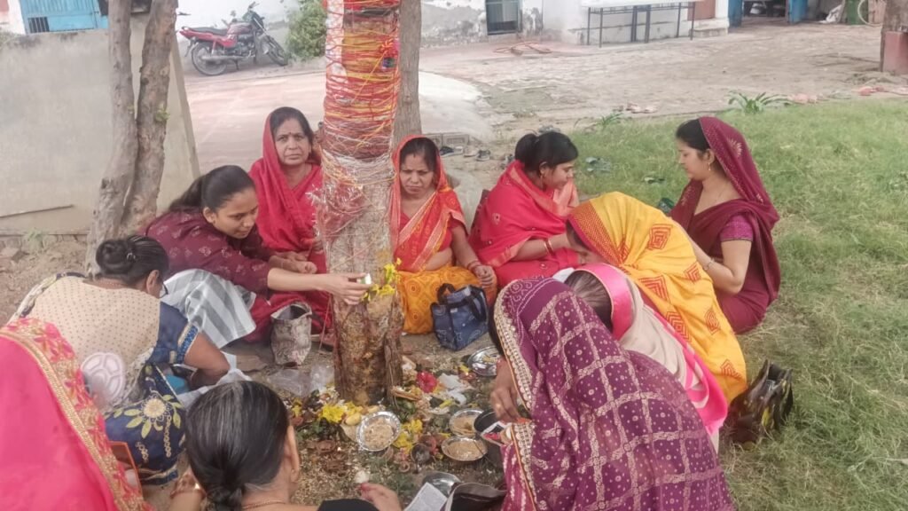 महिलाओं ने आवला वृक्ष की पूजा कर बच्चों की खुशहाली की कामना