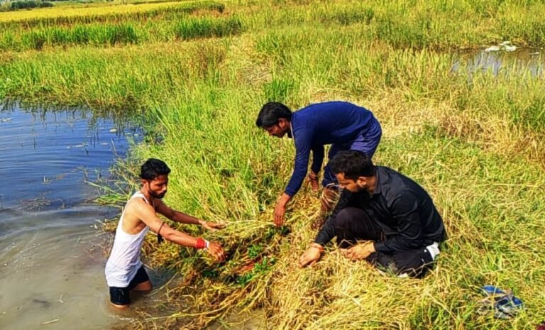राष्ट्रीय बजरंग दल  ने चपरी ताल में चलाया स्वच्छता अभियान, रोपे पौध
