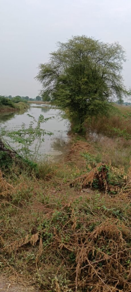 चंबल परियोजना की पाइप लीकेज होने से खेतों में भरा पानी, सीमावर्ती गांव दाउदपुर के किसान परेशान