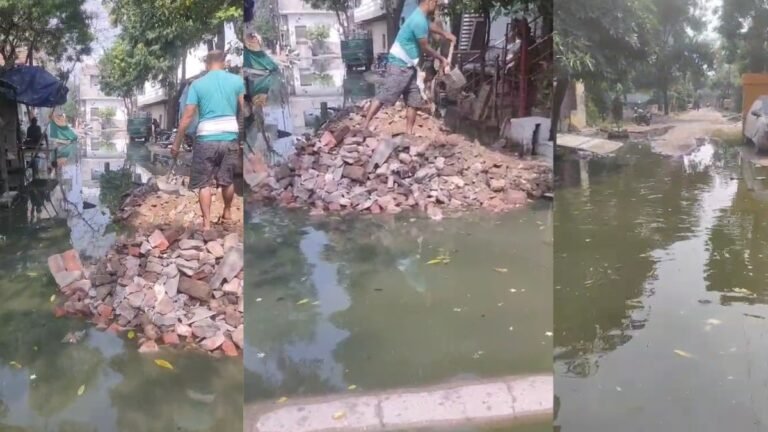भाजपा नेताओं के गढ़ में सड़कें बदहाल, गायत्री विहार में कीचड़ और गड्ढों से परेशान लोग खुद कर रहे मरम्मत