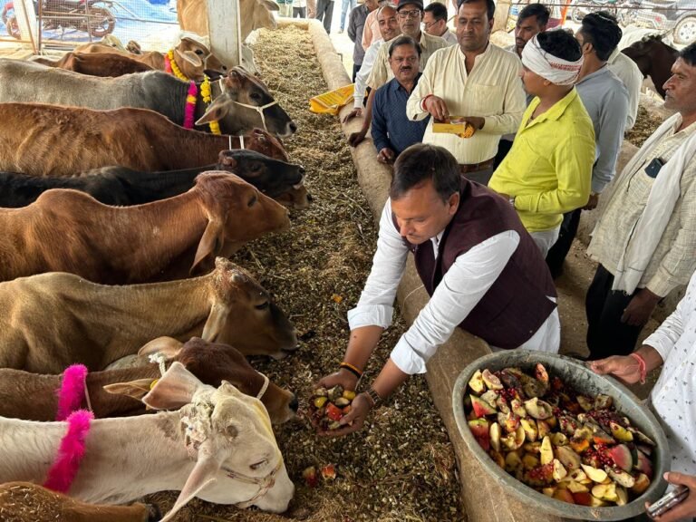 चेयरमैन ने किया विधौली स्थित कान्हा गौशाला में भव्य गौपूजन