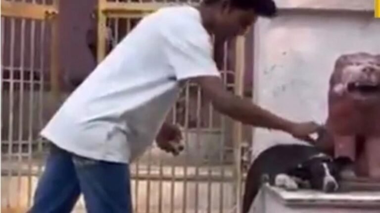 फॉलोवर बढ़ाने की सनक में युवक बना हैवान, सोशल मीडिया वीडियो के लिए कुत्ते के सिर पर फोड़ा बम, लोगों में आक्रोश