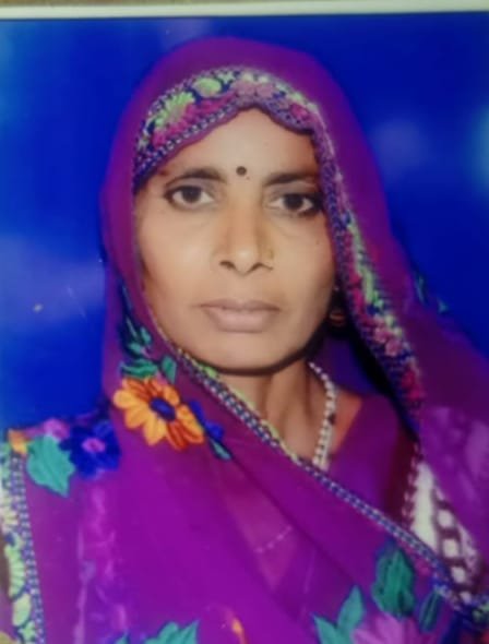 फतेहाबाद: दर्दनाक सड़क हादसे में माँ की हुई मौत बेटा घायल