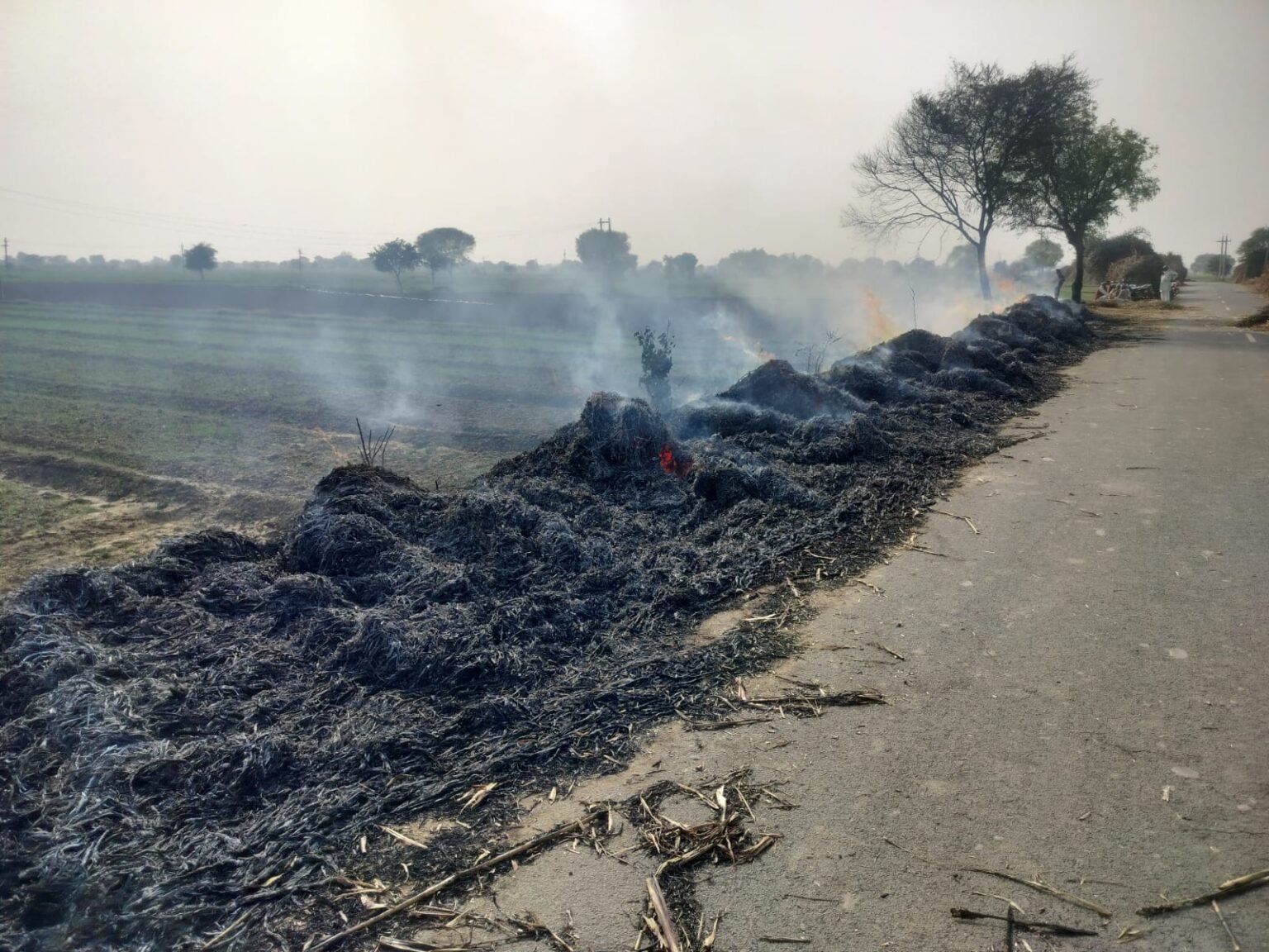 इकट्ठे रखे करब के पुंज में आग लगाने का आरोप, थाने में दिया प्रार्थना पत्र, पुलिस कर रही मामले की जांच