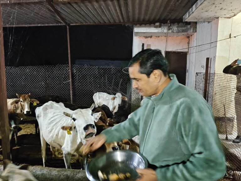 जिलाधिकारी ने किया गोशालाओं का निरीक्षण, ठंड से बचाव हेतु दिए आवश्यक निर्देश