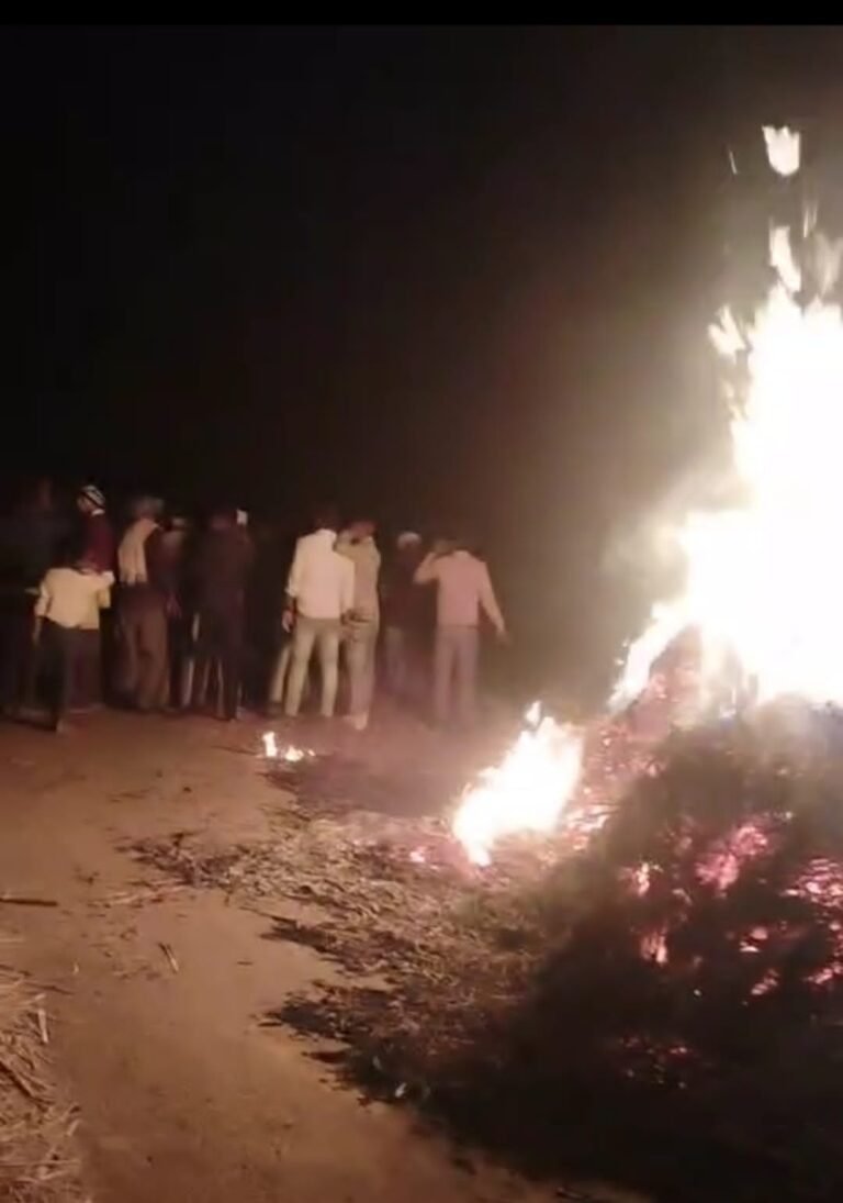 आग से पशुओं का चारा जला: आग से नुकसान की जानकारी तहसील प्रशासन को दी*