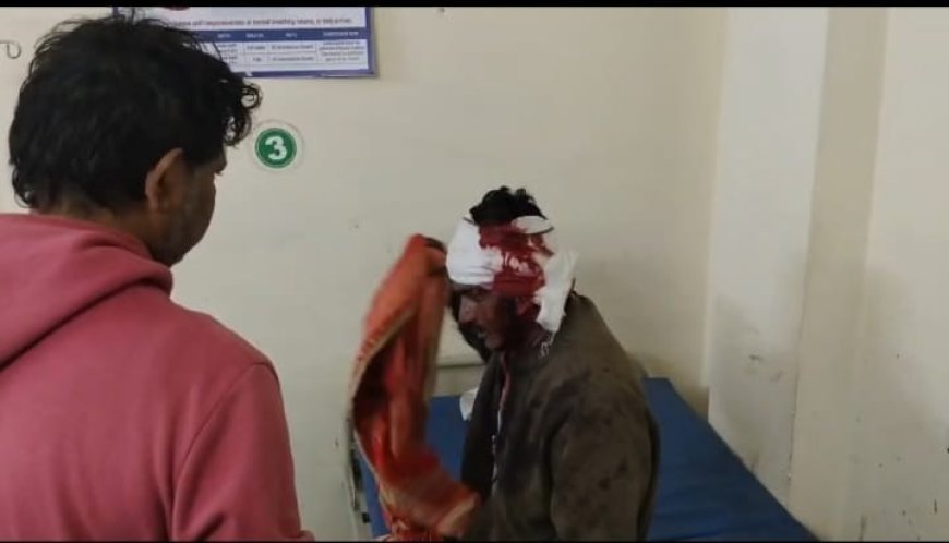 आगरा: पिनाहट में कुत्तों को शौच कराने के विरोध पर दबंगों ने युवक को लाठी-डंडों से पीटा, मारपीट का वीडियो वायरल