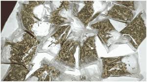 नई दिल्ली: IGI एयरपोर्ट पर बड़ा ड्रग्स बस्ट! बैंकॉक से आए यात्री के पास से 9.84 किलो मारिजुआना बरामद, अंतरराष्ट्रीय बाजार में कीमत ₹9.83 करोड़ – एनडीपीएस एक्ट के तहत गिरफ्तार