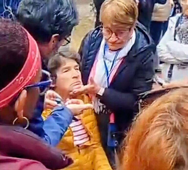 फतेहपुर सीकरी: फ्रांसीसी पर्यटक महिला गुलिस्तां गेट के पास गोल्फ कार्ट से उतरते समय गिरी, ठोड़ी में चोट – सीएचसी में प्राथमिक उपचार के बाद दल आगरा रवाना