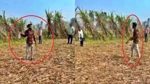 मेरठ: पत्नी के प्रेमी की हत्या के आरोपी ने फिल्मी स्टाइल में सरेंडर किया – बीड़ी पीते हुए तमंचा लहराया, पुलिस की घेराबंदी में हाई-वोल्टेज ड्रामा! वीडियो वायरल