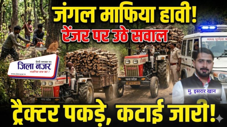 मुरैना में जंगल कटाई पर शिकंजा ढीला? माफिया सक्रिय, वन विभाग पर उठे सवाल