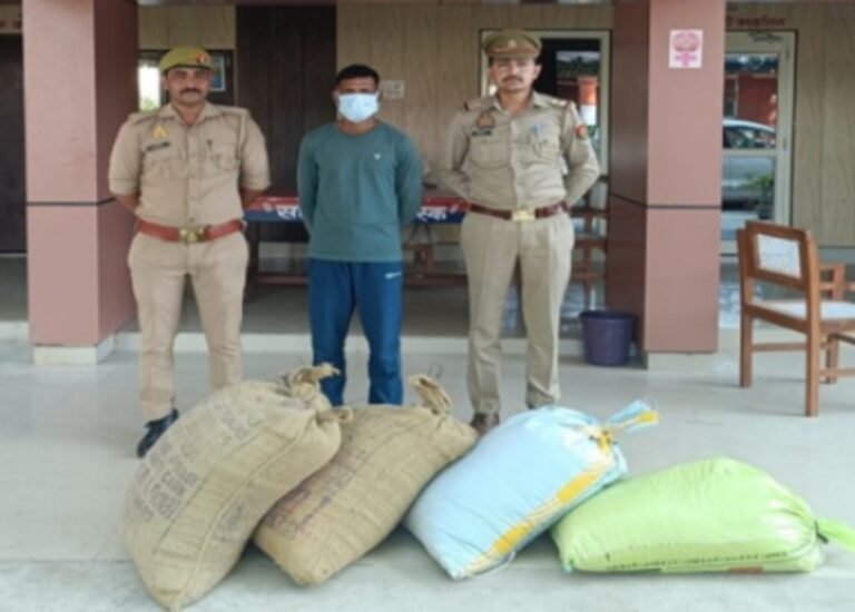 खेत से गेहूं चोरी करने वाला अभियुक्त गिरफ्तार, 4 बोरी अनाज बरामद
