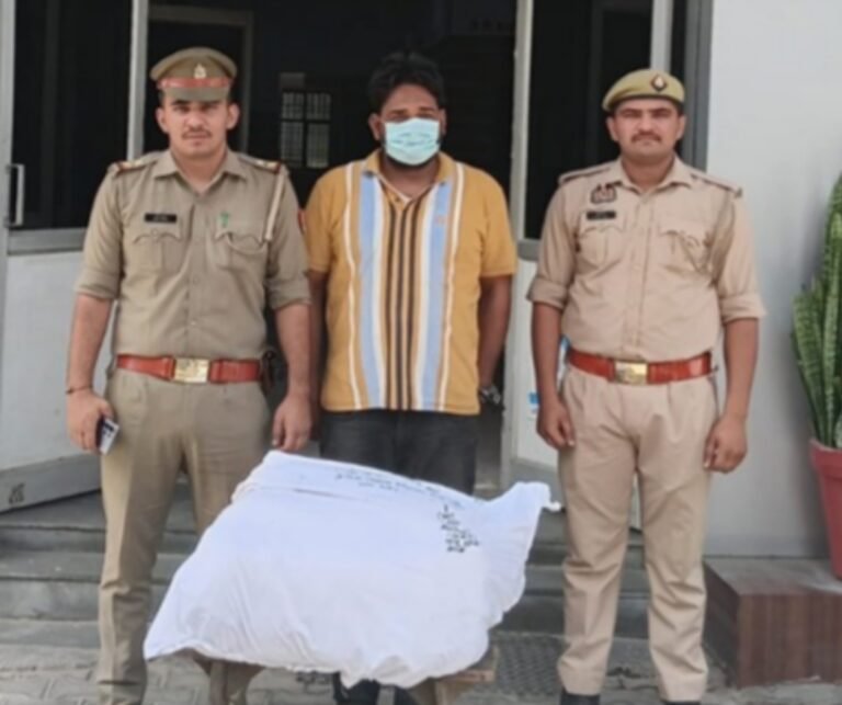 पिसावा पुलिस ने अवैध पेड़ कटान पर की कार्रवाई, ट्रैक्टर-ट्रॉली समेत अभियुक्त गिरफ्तार