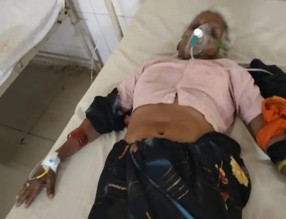 70 वर्षीय महिला को सांप ने काटाः सफाई करते समय हुआ हादसा, सीएचसी में भर्ती