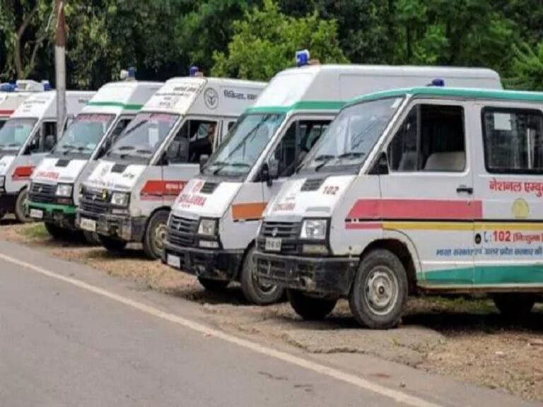 102 एंबुलेंस में गूंजी नवजात की किलकारी, ईएमटी और चालक ने कराया सुरक्षित प्रसव