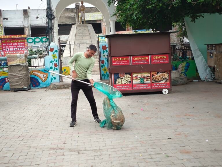 मथुरा में डॉग रेस्क्यू टीम ने पकड़े 9 आवारा कुत्ते