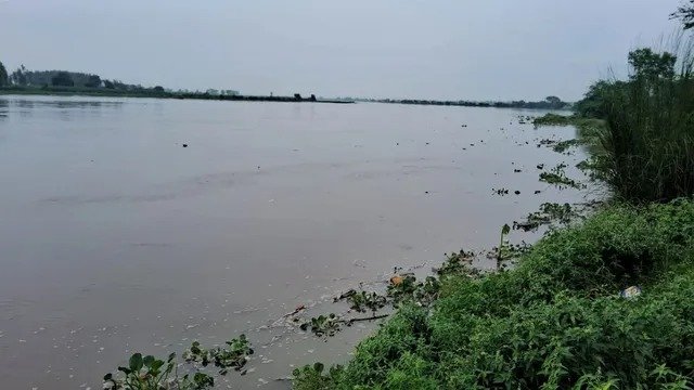 यमुना का बढ़ता जलस्तर बढ़ा रहा चिंता, तटवर्ती गांवों के किसानों में बाढ़ की आशंका
