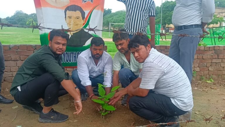 वृक्षारोपण कर मनाया युवा कांग्रेस का स्थापना दिवस